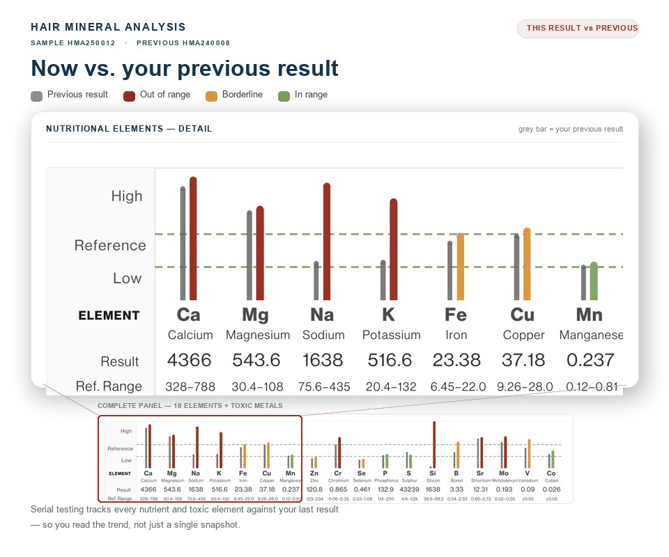 A zoomed-in detail of a CanAlt hair mineral analysis nutritional-elements panel, with grey previous-result bars shown beside the current coloured bars for each element so the change over time is visible at a glance.
