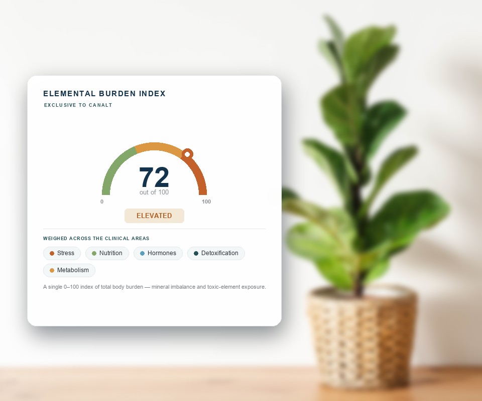 The Elemental Burden Index — a single 0 to 100 total-body-burden score of 72, elevated, weighed across stress, nutrition, hormones, detoxification and metabolism, beside a fiddle leaf fig in a woven basket on a table.